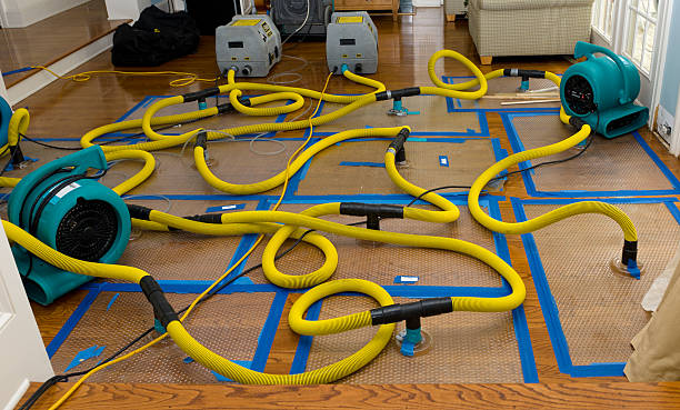 Professional Structural Drying And Dehumidification technician working in Reedley, CA